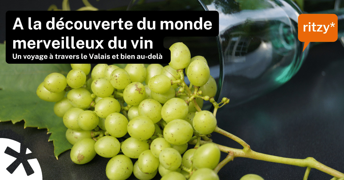 Affiche promotionnelle colorée présentant la formation "les vins valaisans dans la restauration”, avec des illustrations de verres de vin, bouteilles et éléments graphiques évoquant l’univers viticole valaisan.